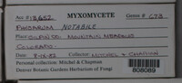 Image Associated With the Occurence